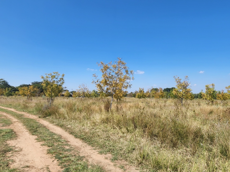0 Bedroom Property for Sale in Bela Bela Limpopo