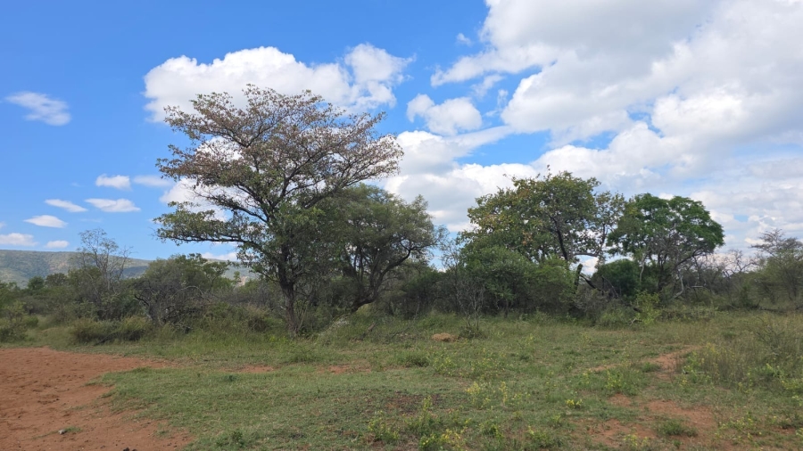 32 Bedroom Property for Sale in Bela Bela Limpopo