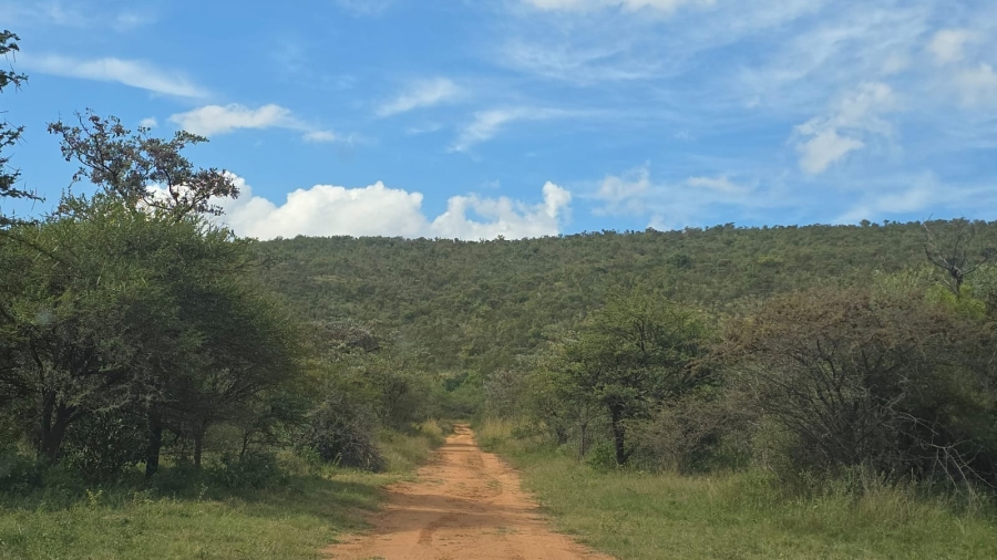 32 Bedroom Property for Sale in Bela Bela Limpopo