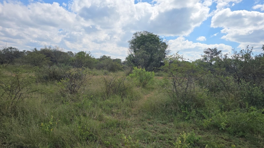 32 Bedroom Property for Sale in Bela Bela Limpopo