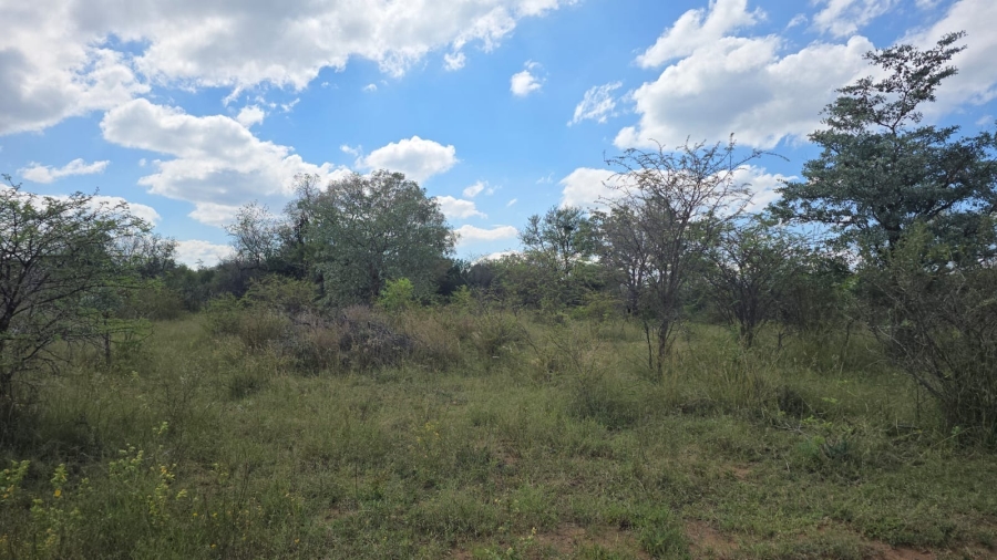 32 Bedroom Property for Sale in Bela Bela Limpopo