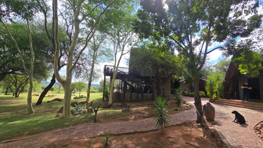 32 Bedroom Property for Sale in Bela Bela Limpopo