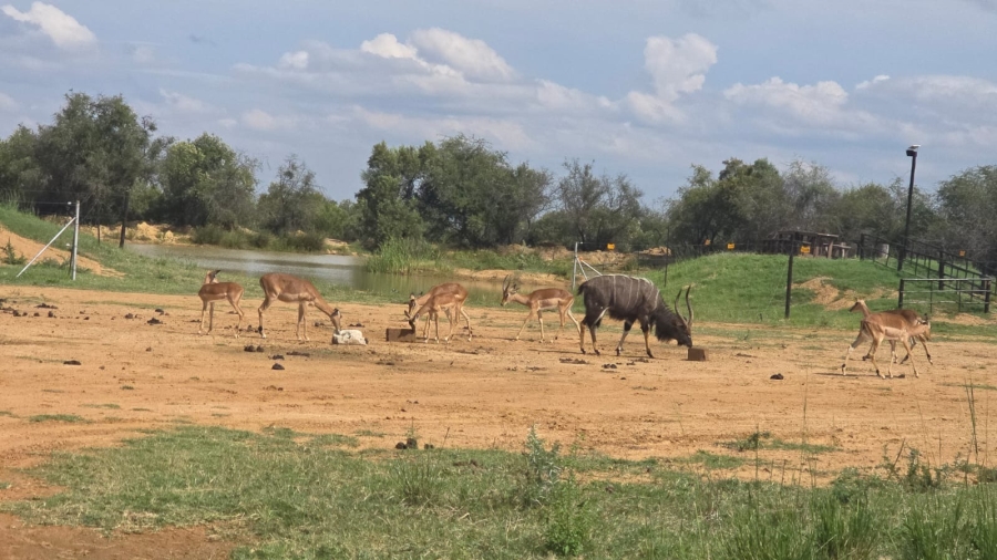 32 Bedroom Property for Sale in Bela Bela Limpopo