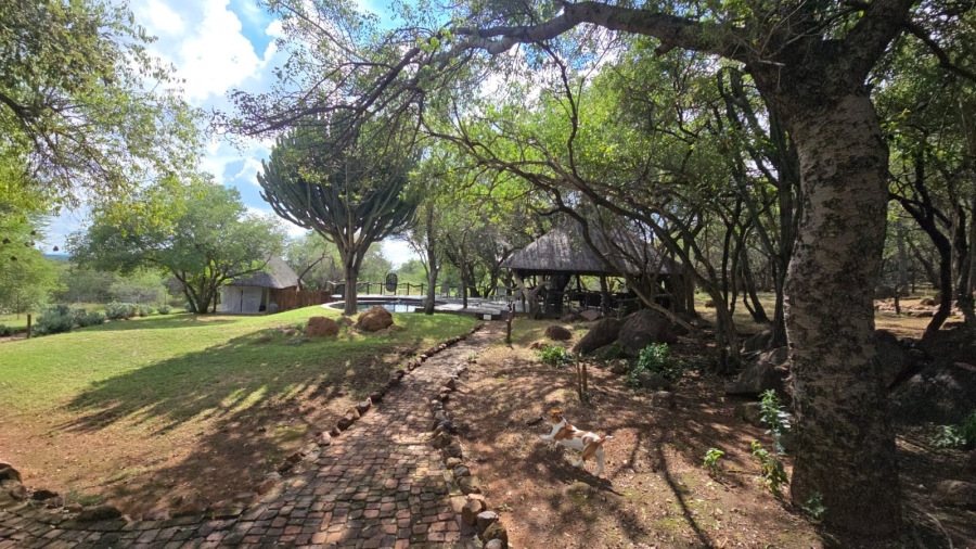 32 Bedroom Property for Sale in Bela Bela Limpopo