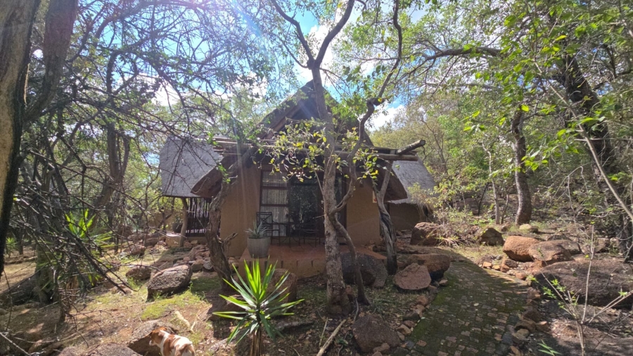 32 Bedroom Property for Sale in Bela Bela Limpopo