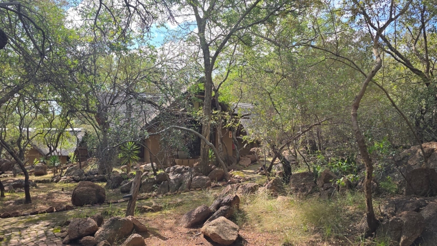 32 Bedroom Property for Sale in Bela Bela Limpopo