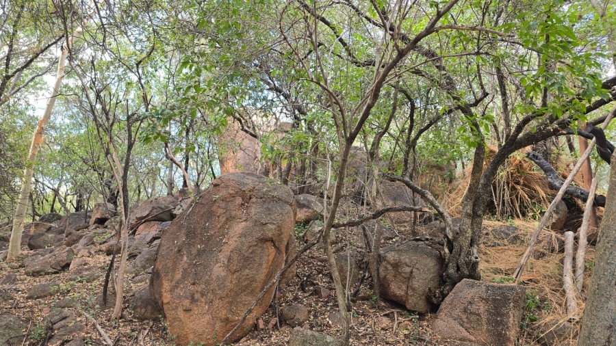 32 Bedroom Property for Sale in Bela Bela Limpopo