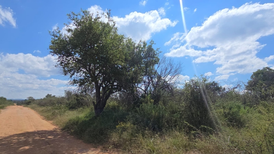 32 Bedroom Property for Sale in Bela Bela Limpopo