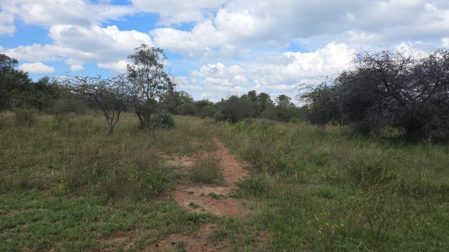 32 Bedroom Property for Sale in Bela Bela Limpopo