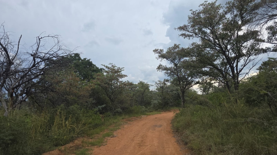 32 Bedroom Property for Sale in Bela Bela Limpopo