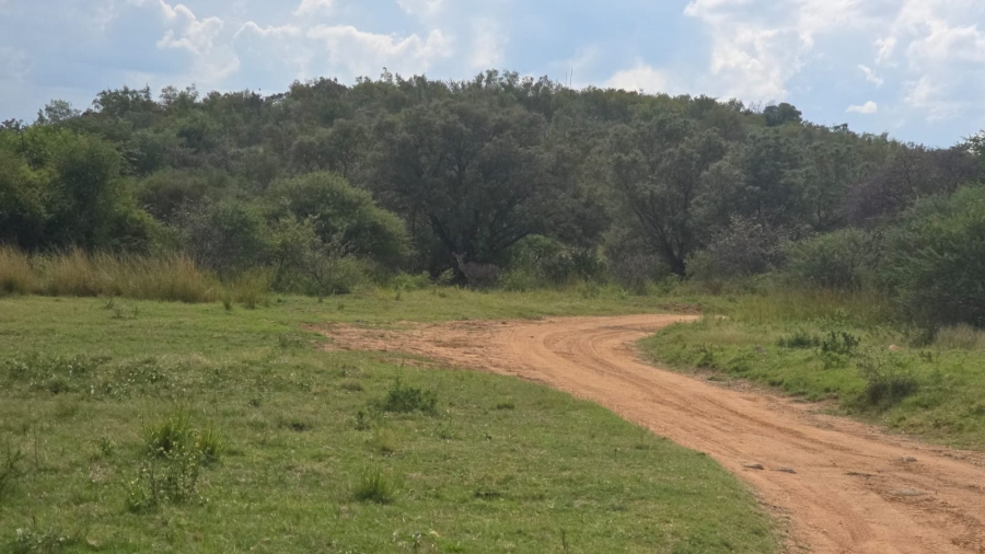 32 Bedroom Property for Sale in Bela Bela Limpopo