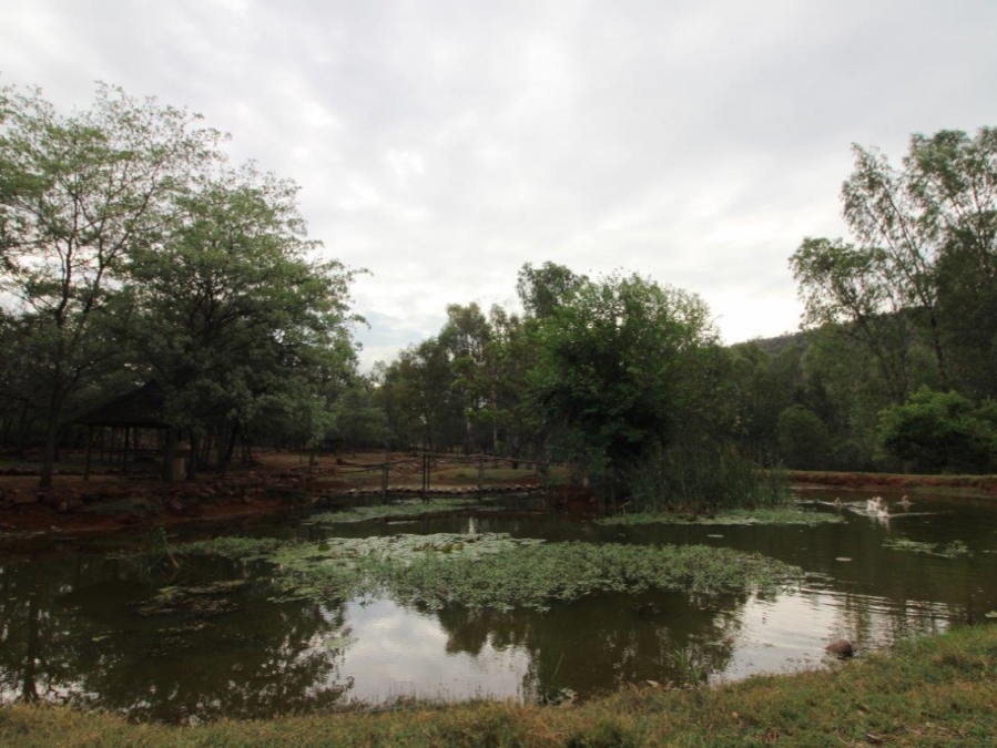 3 Bedroom Property for Sale in Modimolle Limpopo