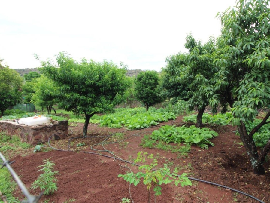 3 Bedroom Property for Sale in Modimolle Limpopo