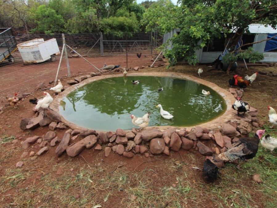 3 Bedroom Property for Sale in Modimolle Limpopo