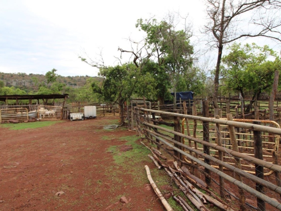 3 Bedroom Property for Sale in Modimolle Limpopo