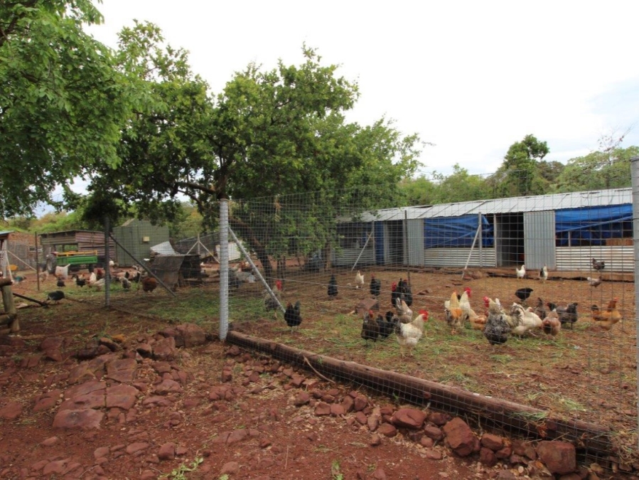 3 Bedroom Property for Sale in Modimolle Limpopo