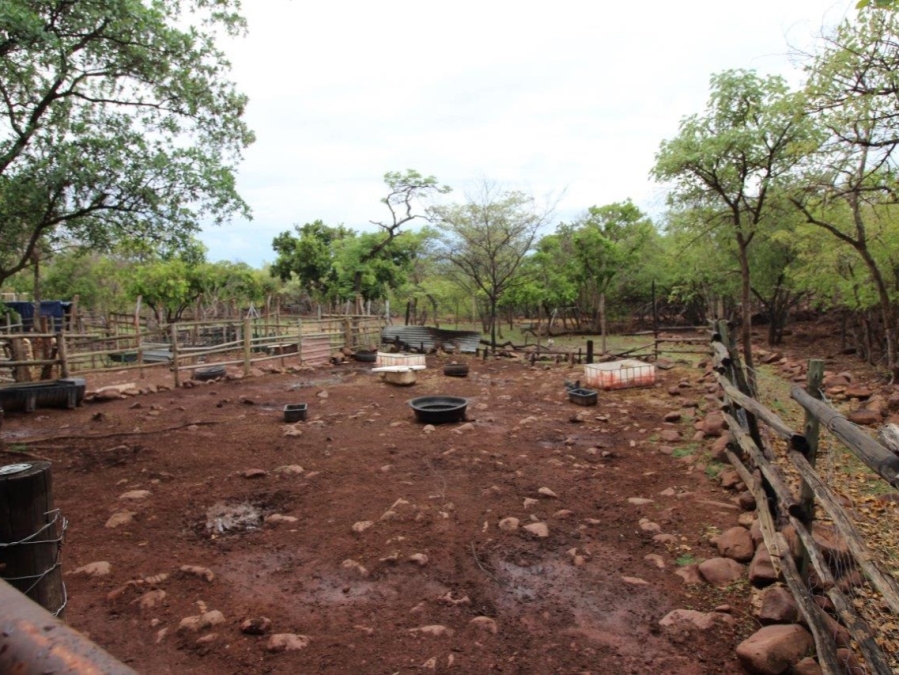 3 Bedroom Property for Sale in Modimolle Limpopo