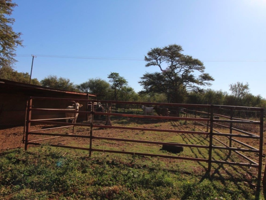 7 Bedroom Property for Sale in Modimolle Limpopo