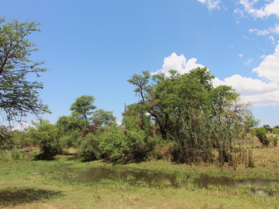 5 Bedroom Property for Sale in Modimolle Limpopo