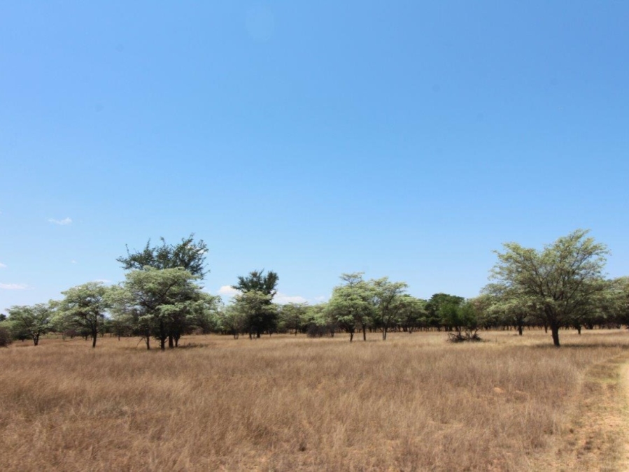 5 Bedroom Property for Sale in Modimolle Limpopo