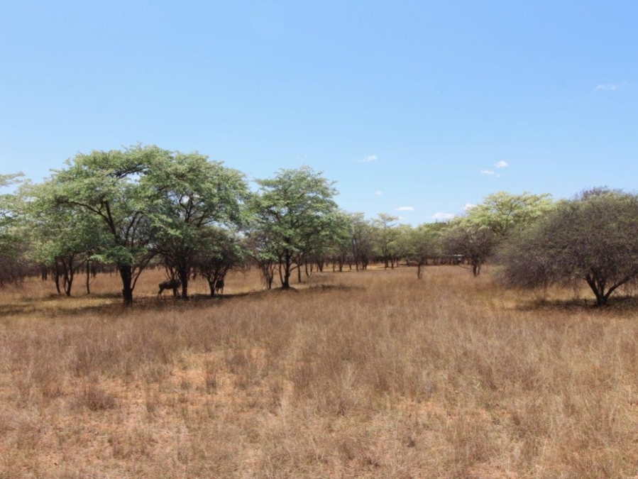 5 Bedroom Property for Sale in Modimolle Limpopo