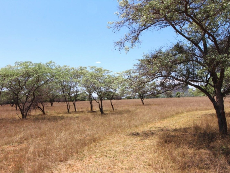 5 Bedroom Property for Sale in Modimolle Limpopo