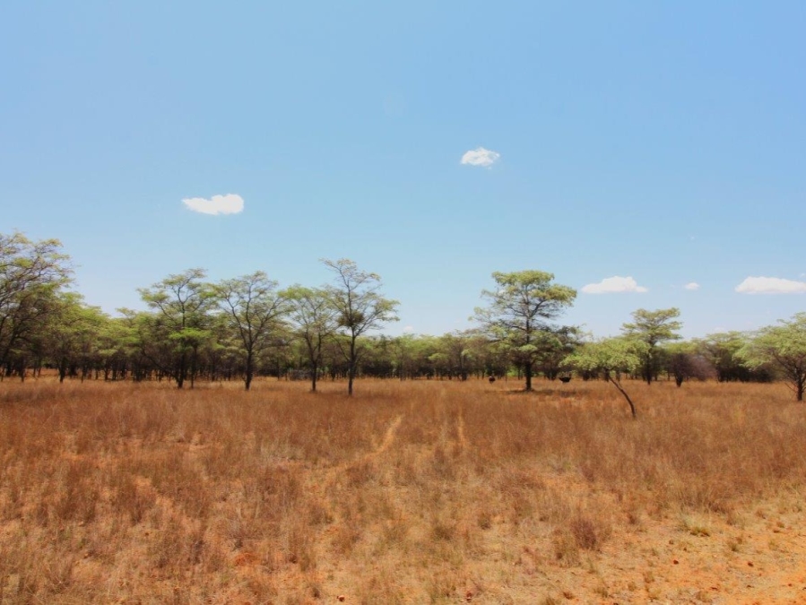 5 Bedroom Property for Sale in Modimolle Limpopo