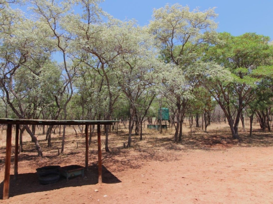 5 Bedroom Property for Sale in Modimolle Limpopo