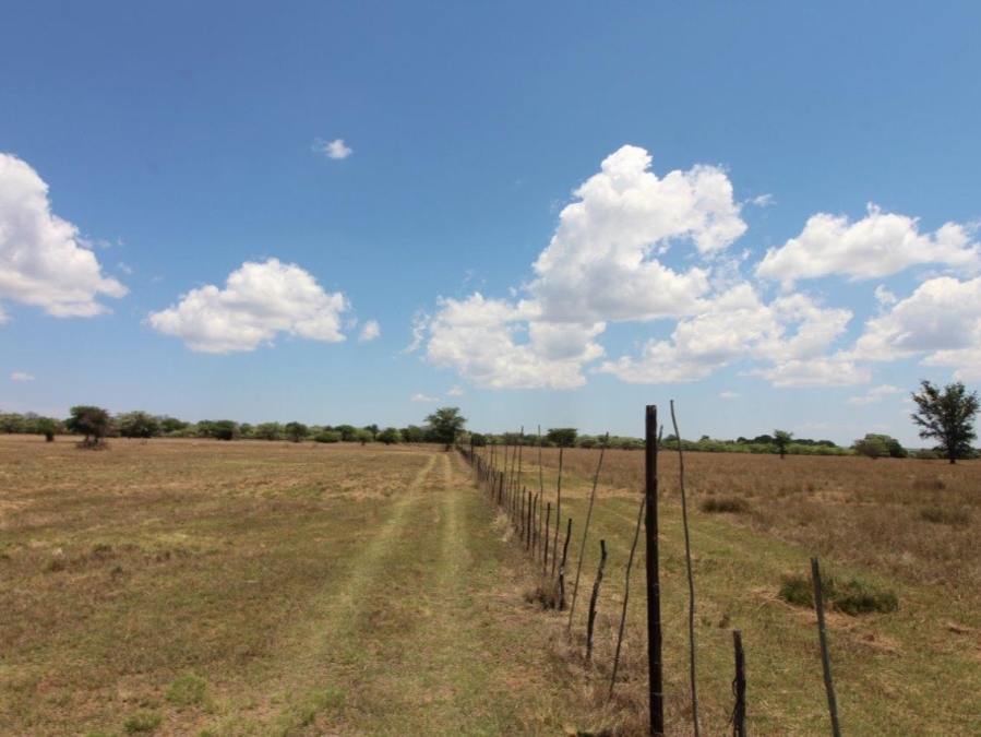 5 Bedroom Property for Sale in Modimolle Limpopo