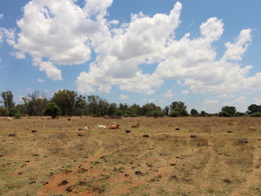 5 Bedroom Property for Sale in Modimolle Limpopo