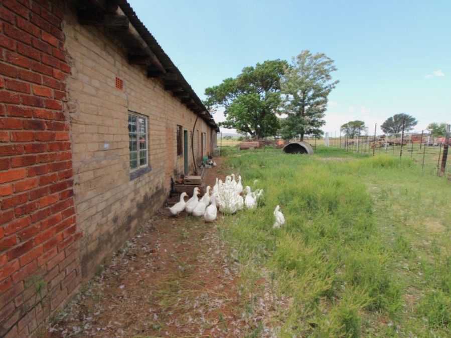 5 Bedroom Property for Sale in Modimolle Limpopo