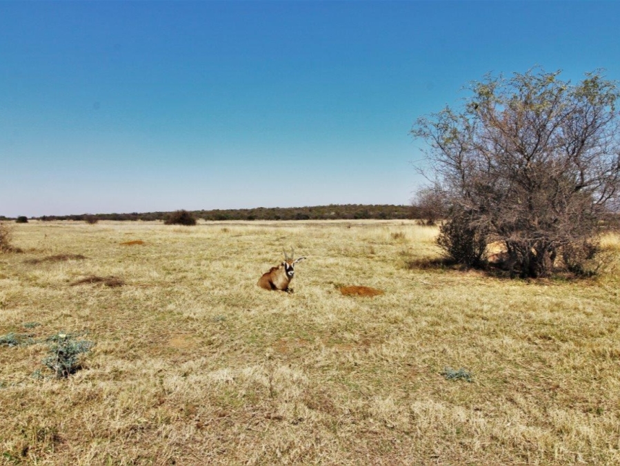 0 Bedroom Property for Sale in Modimolle Limpopo