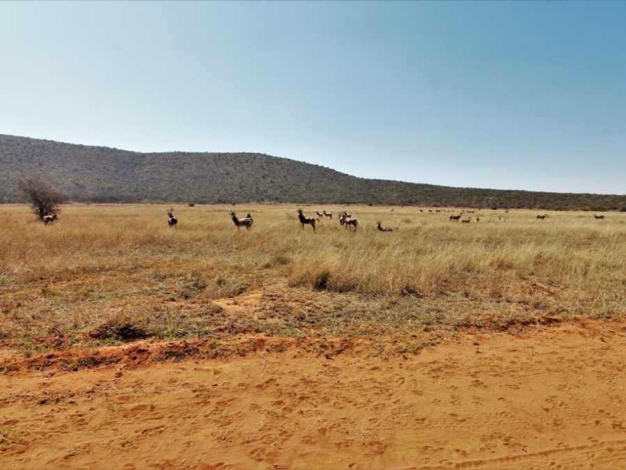 0 Bedroom Property for Sale in Modimolle Limpopo