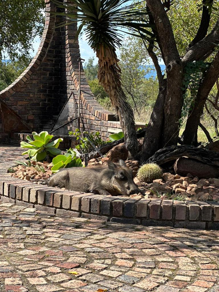 23 Bedroom Property for Sale in Bela Bela Limpopo