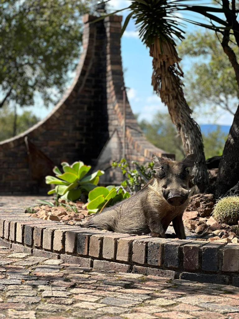 23 Bedroom Property for Sale in Bela Bela Limpopo