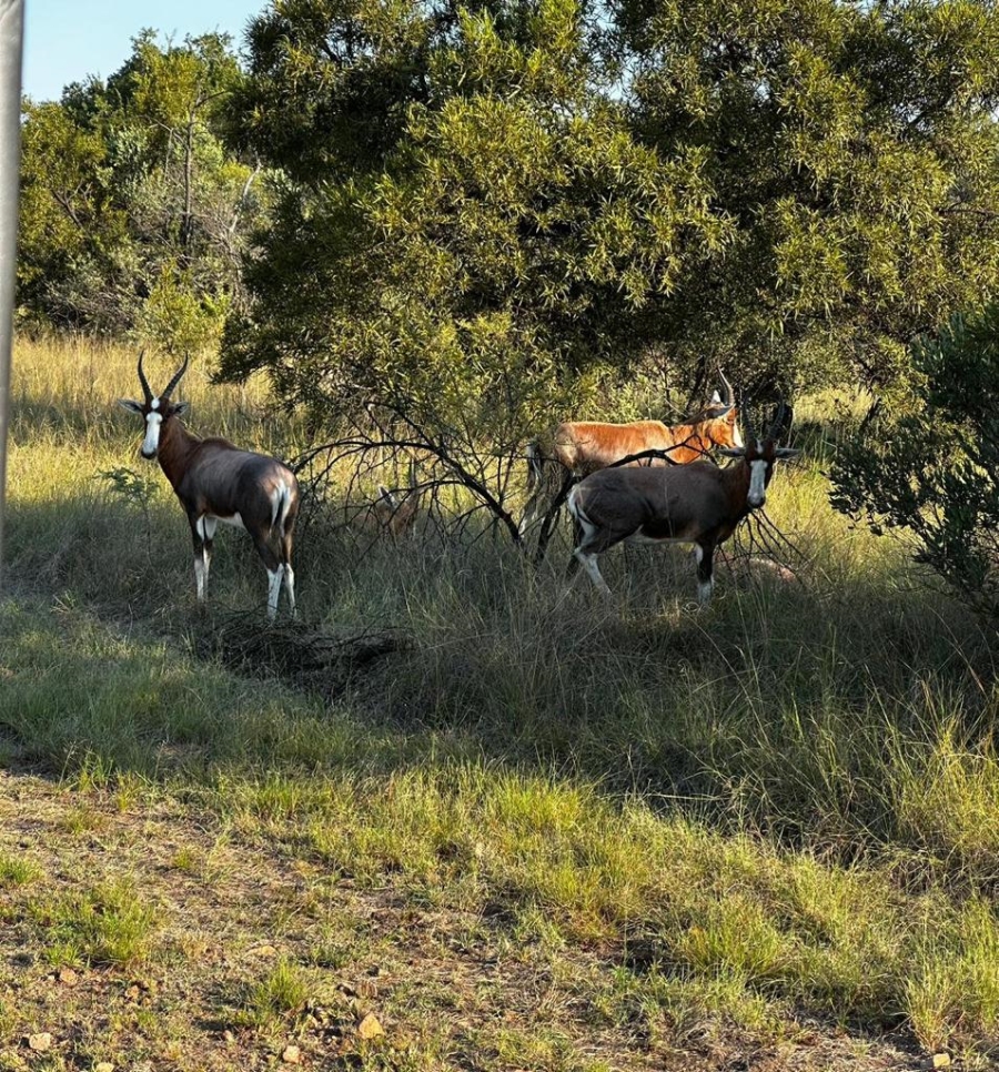 23 Bedroom Property for Sale in Bela Bela Limpopo