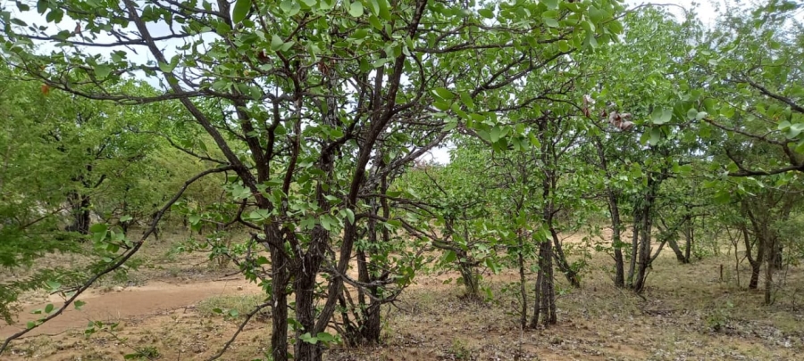 0 Bedroom Property for Sale in Musina Limpopo