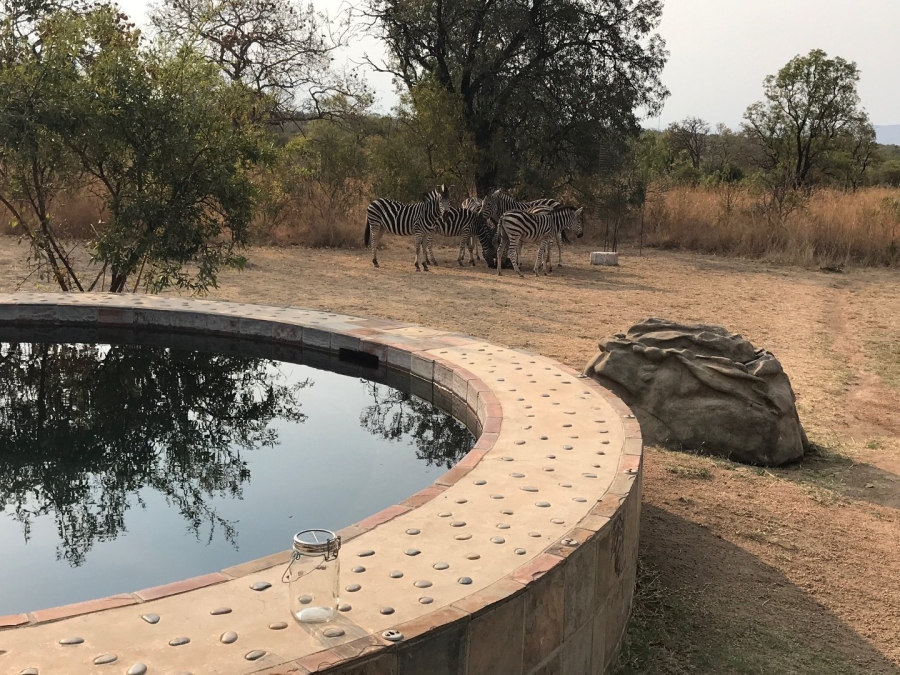 5 Bedroom Property for Sale in Zebula Golf Estate Limpopo