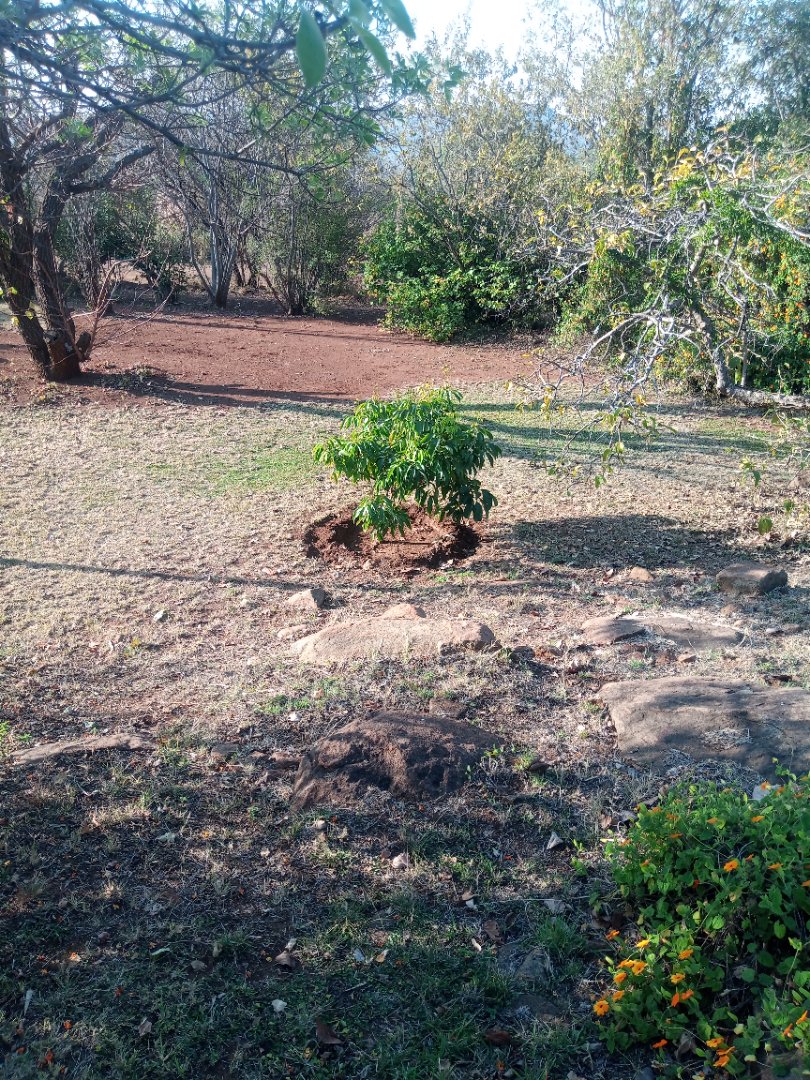 Commercial Property for Sale in Roossenekal AH Limpopo