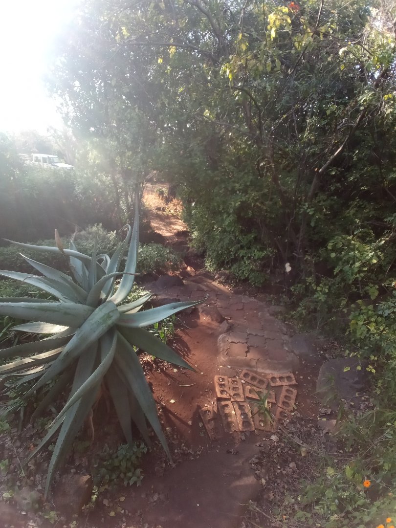 Commercial Property for Sale in Roossenekal AH Limpopo