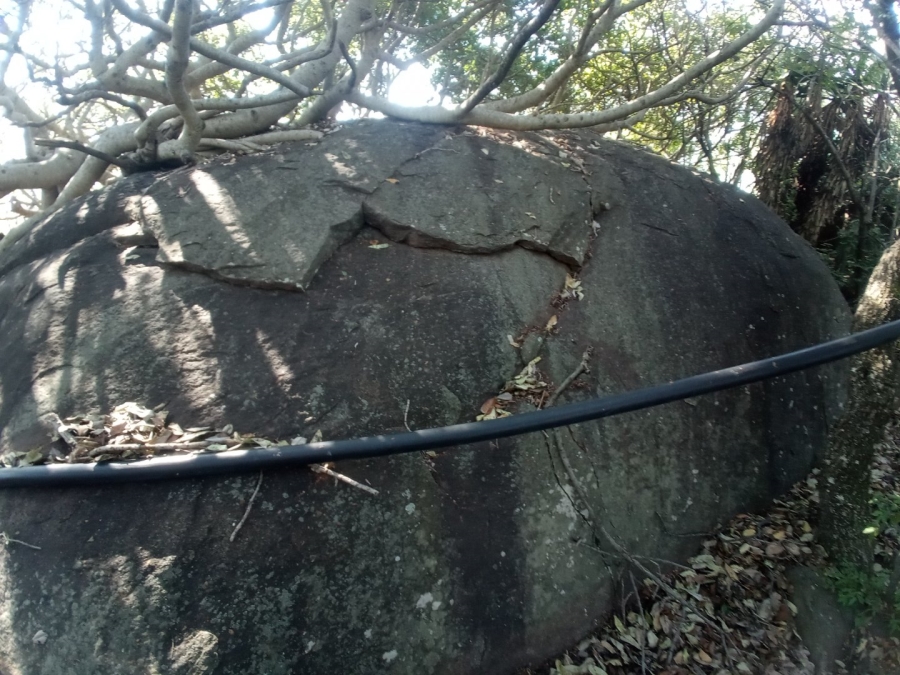 Commercial Property for Sale in Roossenekal AH Limpopo