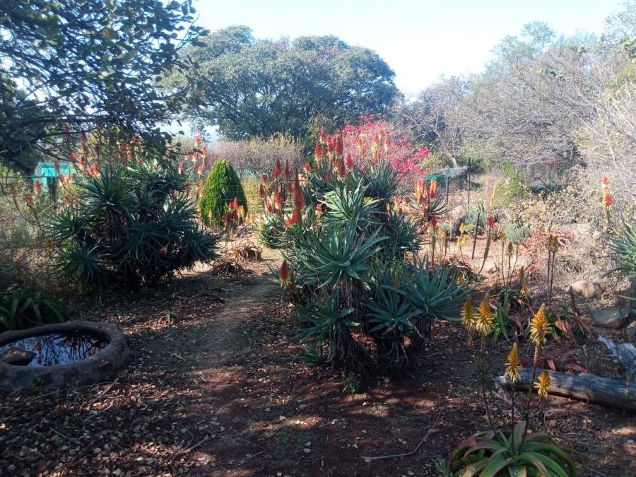 Commercial Property for Sale in Roossenekal AH Limpopo