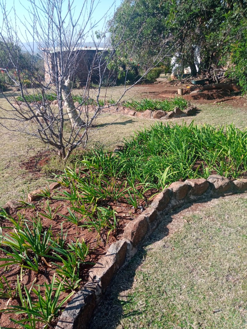 Commercial Property for Sale in Roossenekal AH Limpopo