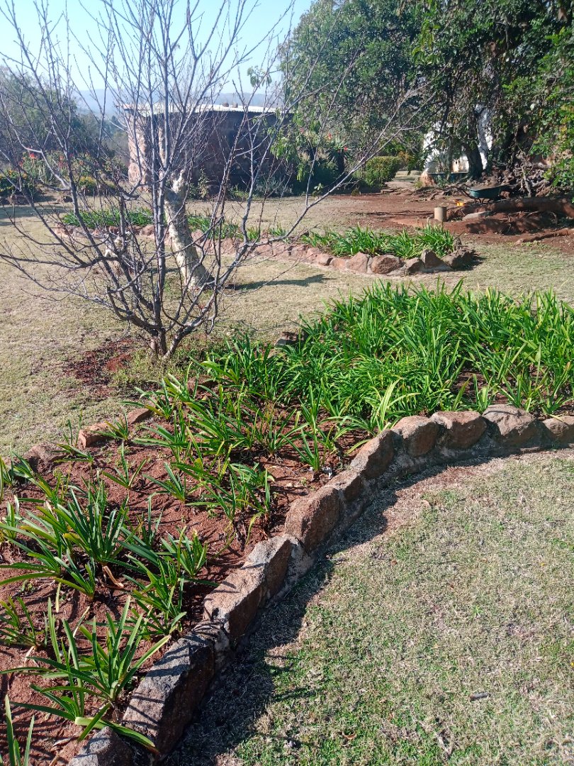 Commercial Property for Sale in Roossenekal AH Limpopo