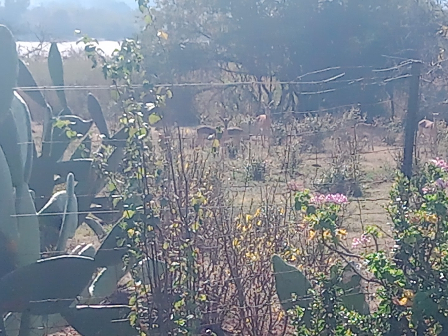 Commercial Property for Sale in Roossenekal AH Limpopo