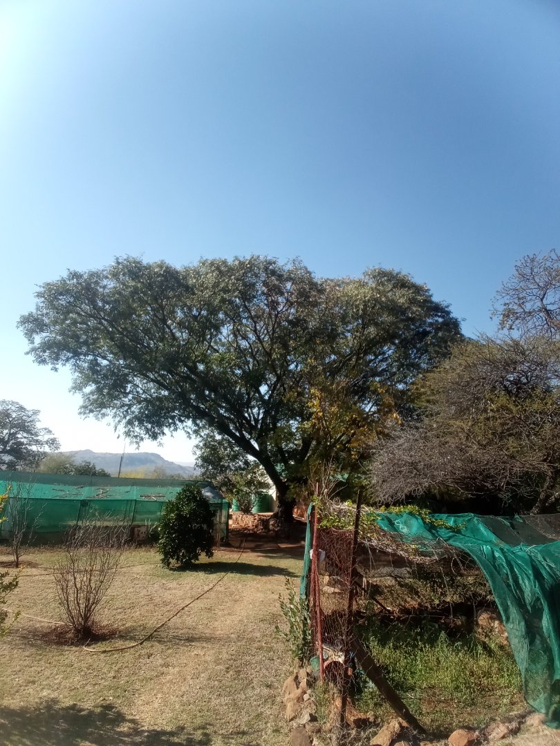 Commercial Property for Sale in Roossenekal AH Limpopo