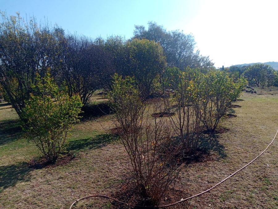 Commercial Property for Sale in Roossenekal AH Limpopo