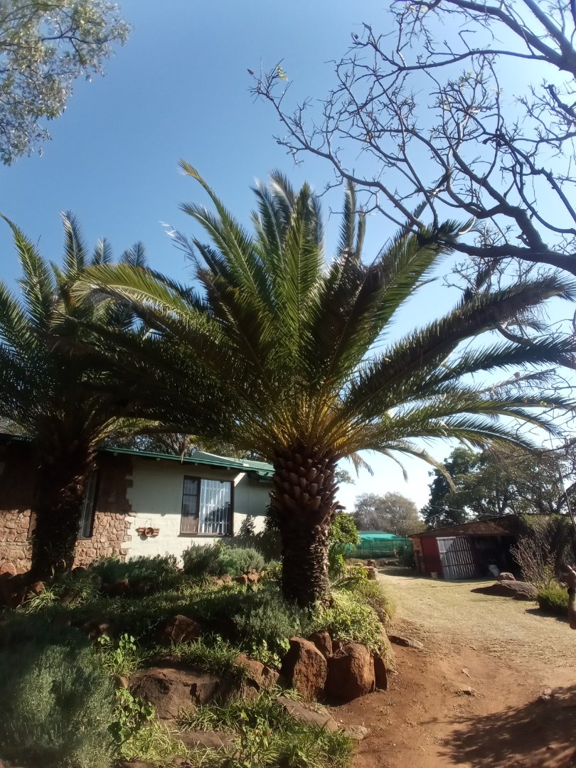 Commercial Property for Sale in Roossenekal AH Limpopo