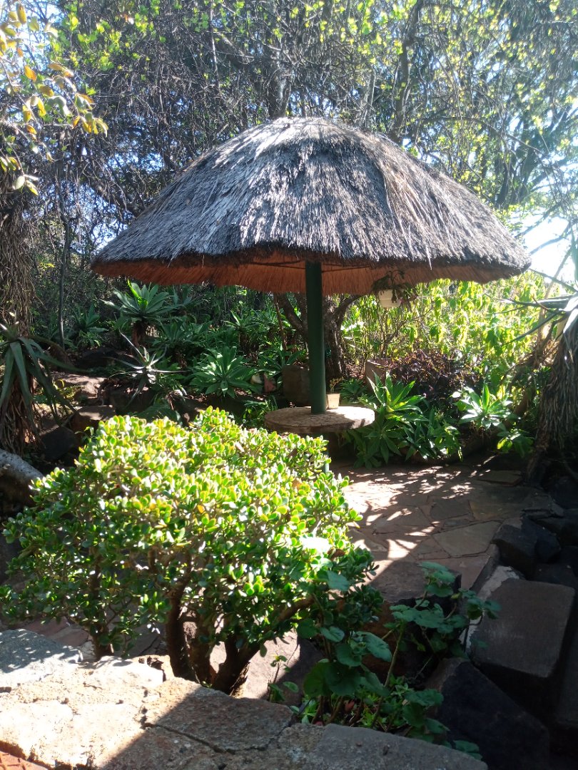 Commercial Property for Sale in Roossenekal AH Limpopo