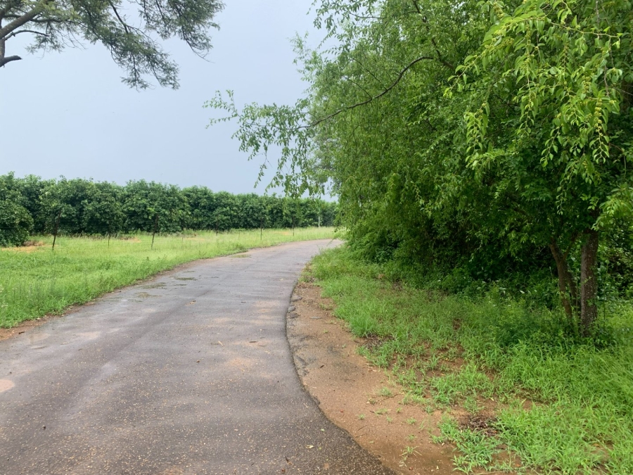 Commercial Property for Sale in Letsitele Limpopo